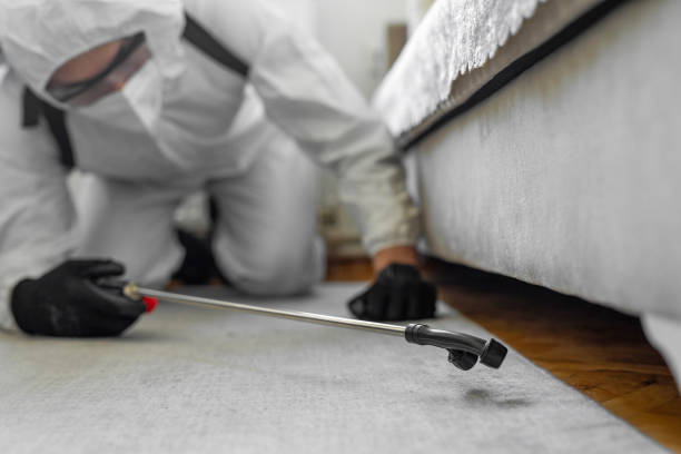Professional Ant Control technician working in Delaware County County, IA